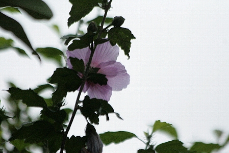 d0133693_2238338.jpg
