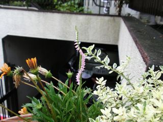 f0130894_22151482.jpg