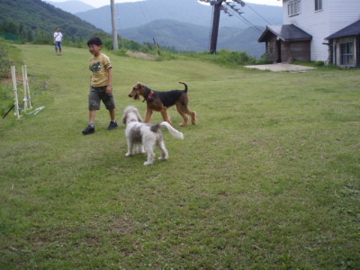 c0086895_1432884.jpg