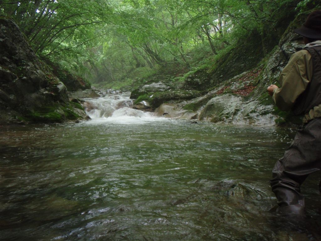 c0177497_21393640.jpg
