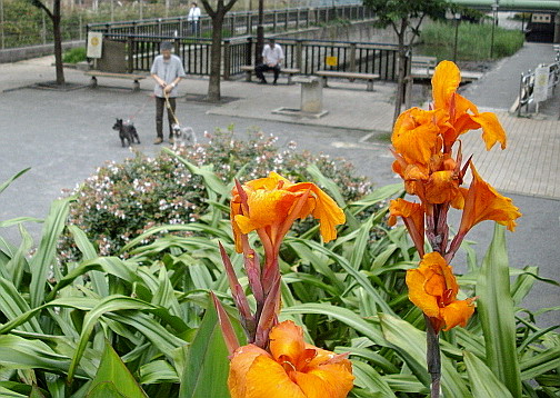 c0138198_21241523.jpg