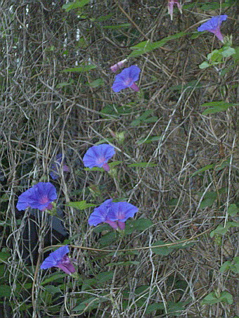 c0138198_21285610.jpg