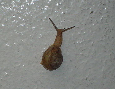 c0138198_2133337.jpg