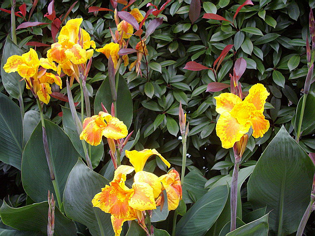 c0138198_2138175.jpg