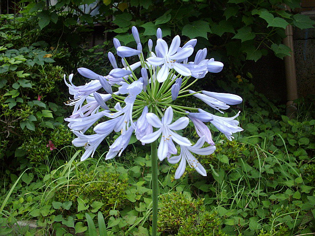 c0138198_21393196.jpg