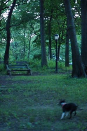 e0039002_2322837.jpg