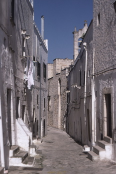 b0088205_431463.jpg