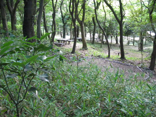 b0052108_0385435.jpg