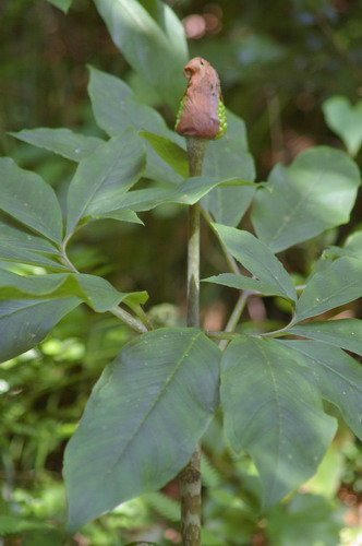 b0052108_0425650.jpg