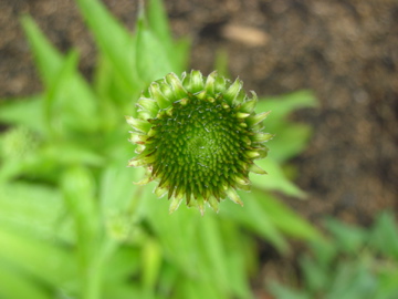c0145209_9332849.jpg