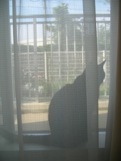 e0050111_2142113.jpg