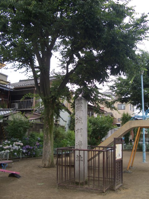 e0033713_1003861.jpg