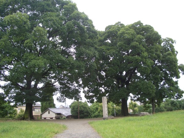 e0033713_9494711.jpg