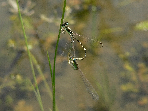 e0002314_19311796.jpg