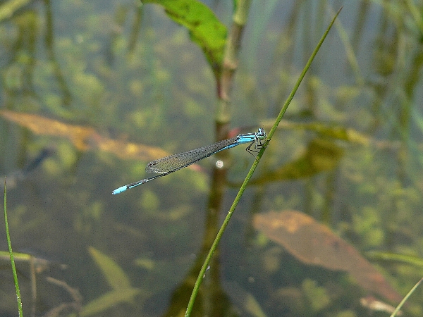 e0002314_19321646.jpg