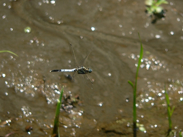 e0002314_1932439.jpg