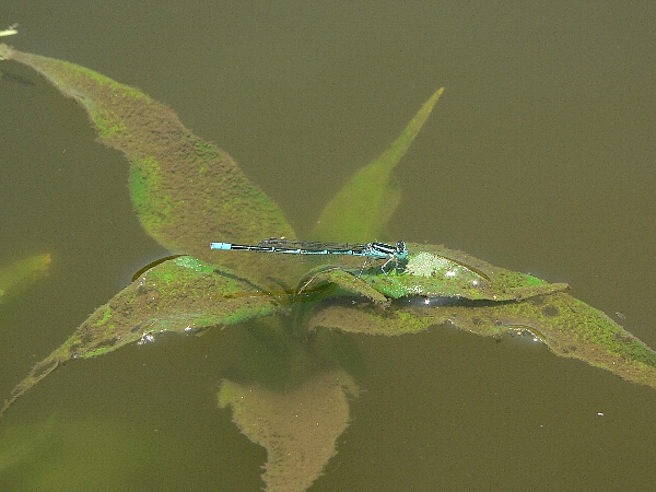 e0002314_19361281.jpg
