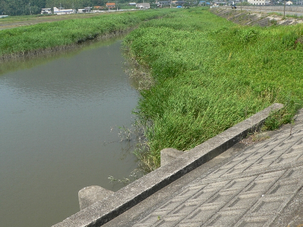 e0002314_19394752.jpg