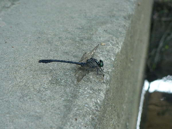 e0002314_19464572.jpg