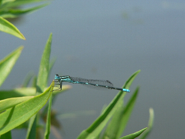 e0002314_1952027.jpg