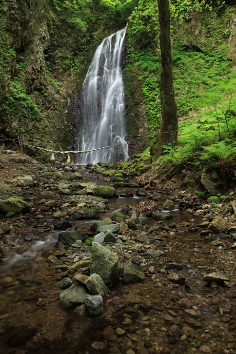 e0121814_2138417.jpg
