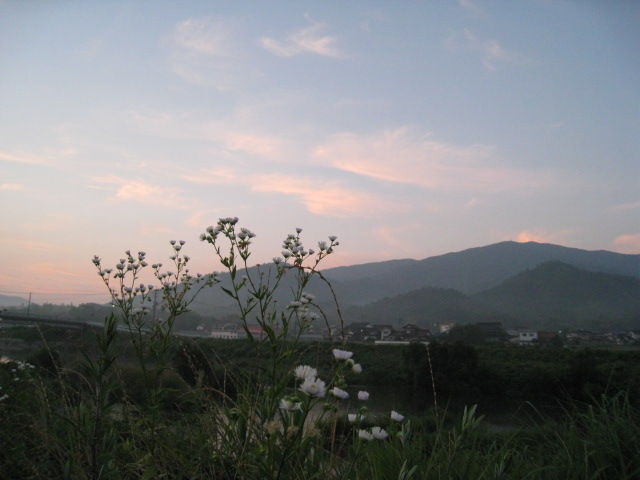 c0197220_10571028.jpg