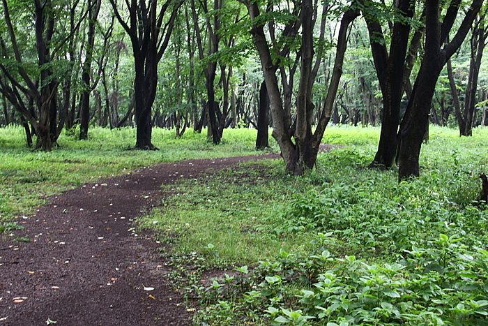 b0165522_1624912.jpg