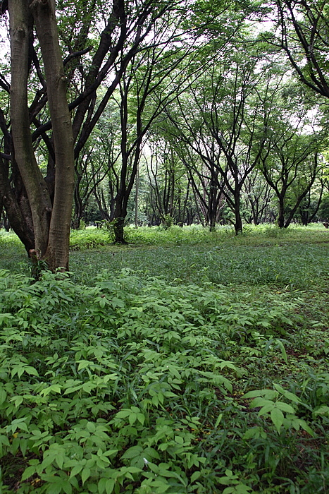 b0165522_1634969.jpg