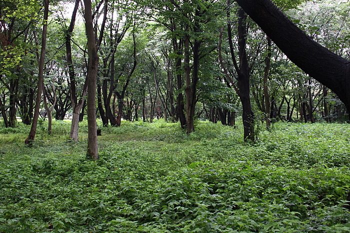 b0165522_1653068.jpg