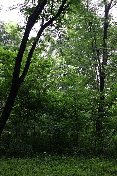 b0165522_1663330.jpg