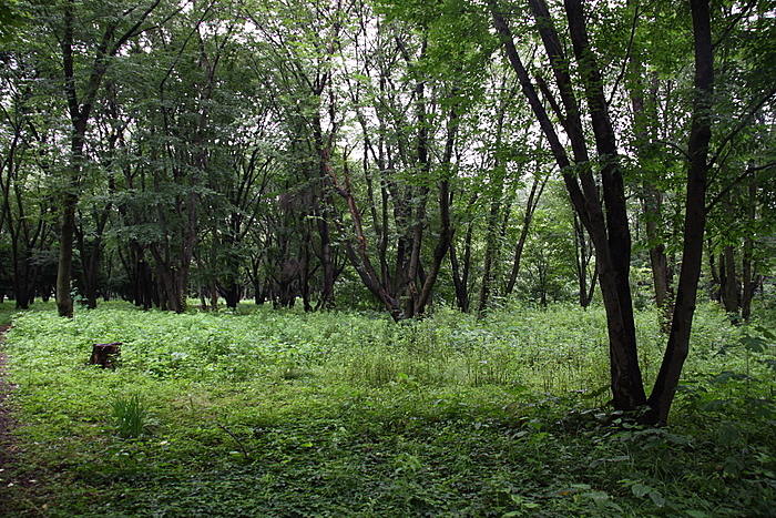 b0165522_1684785.jpg