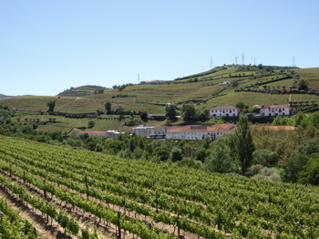 c0157625_0284193.jpg
