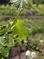 c0157625_0285134.jpg