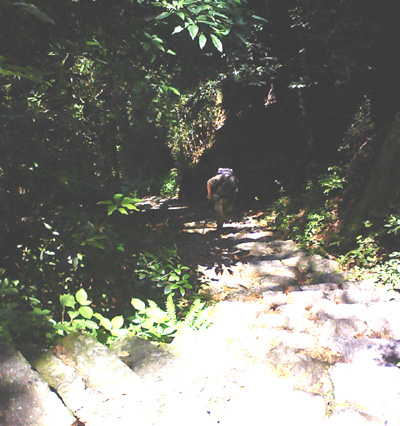 a0129233_1814322.jpg