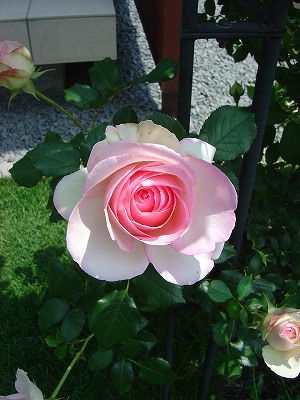f0205733_21115538.jpg