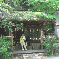d0033734_1516560.gif