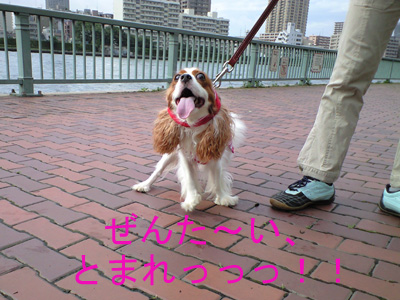a0120944_1393639.jpg