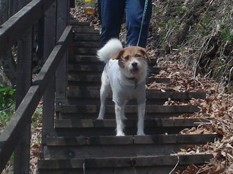 c0086746_1227246.jpg