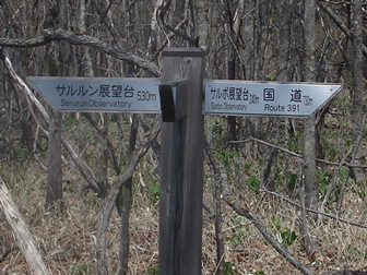 c0086746_12291763.jpg