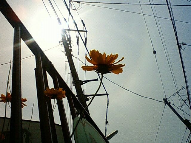 f0179947_23474490.jpg