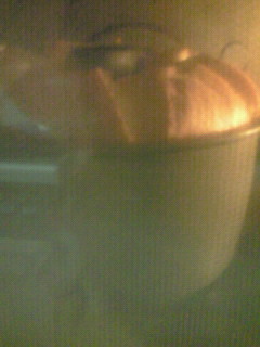 a0130348_11462653.jpg