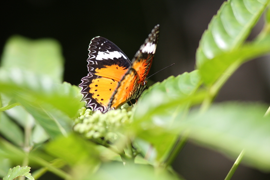 a0094850_19121410.jpg