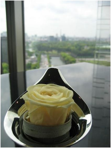 e0029451_595312.jpg