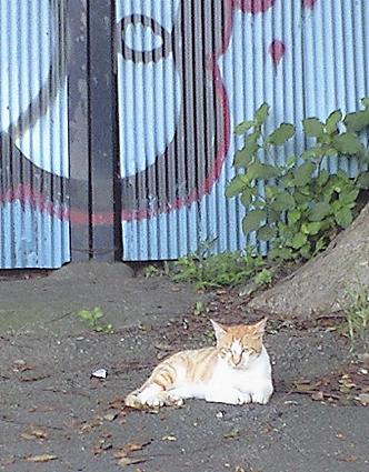 c0179152_12291798.jpg