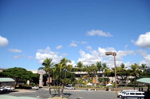 e0050753_5184414.jpg