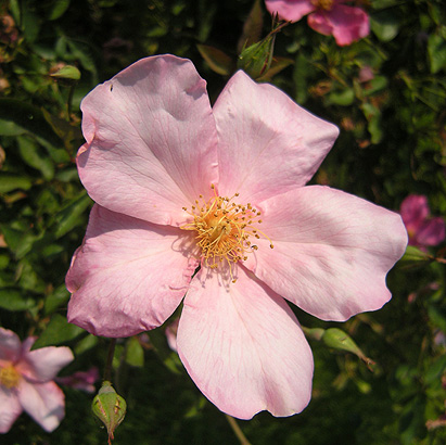 a0001354_22343355.jpg