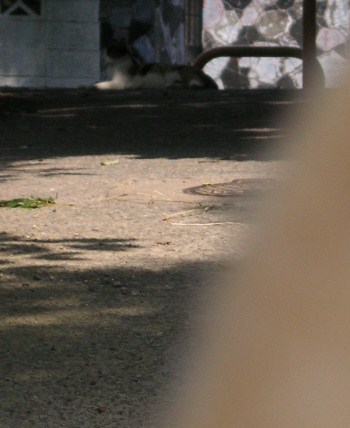 f0082855_15584911.jpg