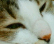 c0052756_2339029.jpg