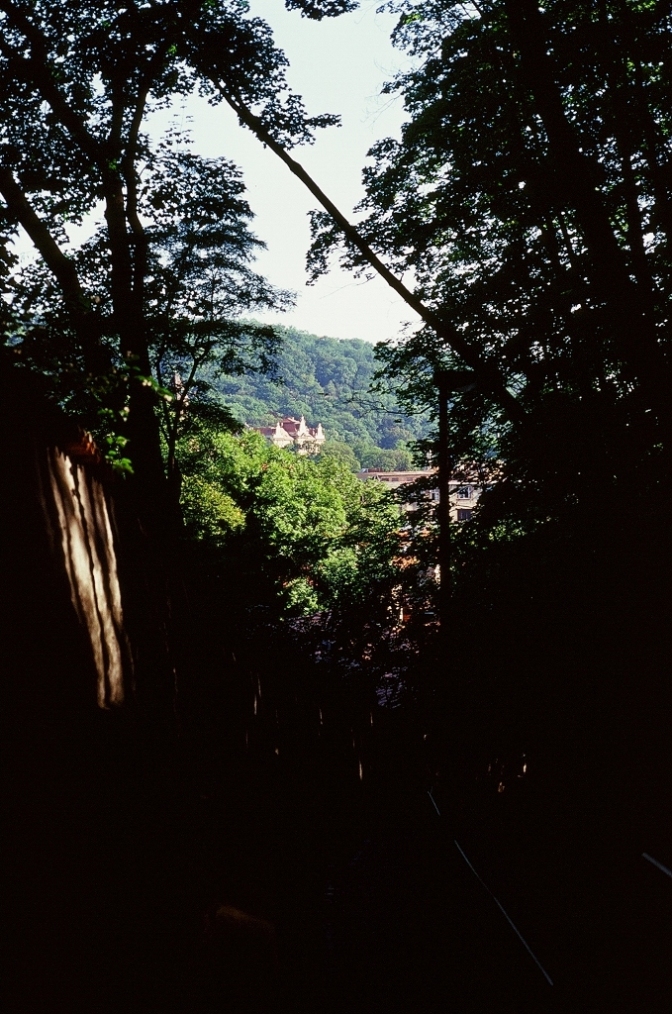 e0134658_223518.jpg