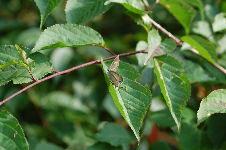 b0167762_14131.jpg
